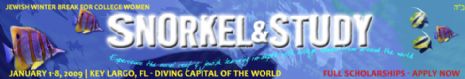 ssbanner-1.jpg